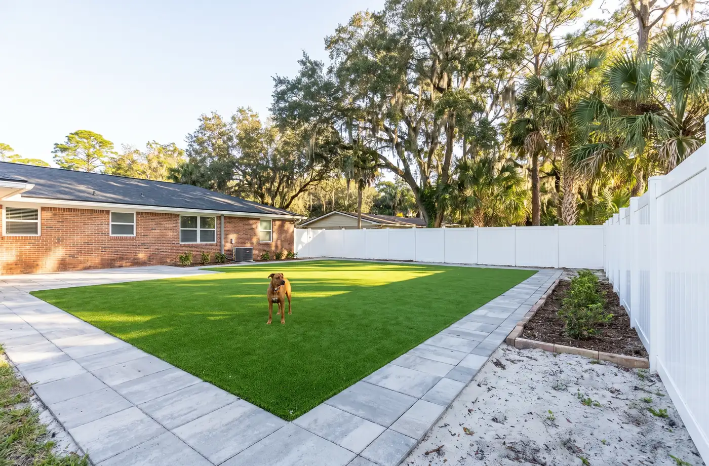 Dog standing on pet-friendly artificial turf in a fenced Jacksonville, Florida backyard with sandy soil and live oaks